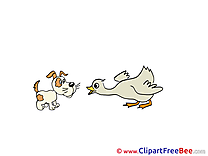 Duck with Puppy free Illustration download