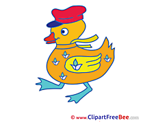 Duckling with Cap Pics printable Cliparts