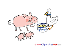 Eating Pigs Duck Pics download Illustration