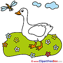 Goose Meadow Flowers Clip Art download for free