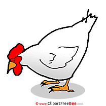 Hen Images download free Cliparts