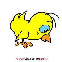 Image Bird free Cliparts for download
