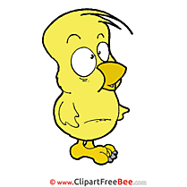 Image Chicken free printable Cliparts and Images