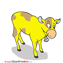 Picture Cow Clipart free Illustrations