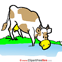 Picture Cow free Cliparts for download
