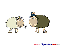 Sheeps Images download free Cliparts