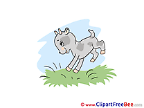 Sky Grass Goatling Clipart free Image download