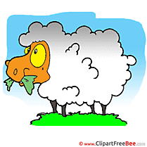 Sky Grass Sheep Pics free Illustration