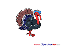 Turkey printable Images for download