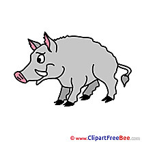 Wild Boar Cliparts printable for free