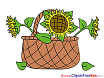 Basket with Sunflowers Pics Flowers free Cliparts