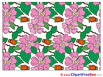 Pics Wallpaper Flowers free Cliparts