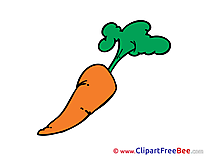 Carrot printable Illustrations for free