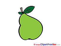 Pear Clip Art download for free