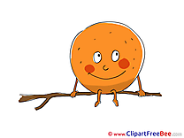 Branch Orange Clip Art download for free