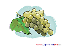 Bunch Grapes printable Illustrations for free