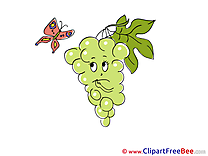 Butterfly Grape free Illustration download