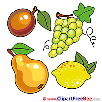 Drawing Fruits Clipart free Illustrations
