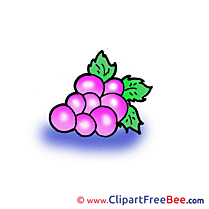 Drawing Grape printable Illustrations for free