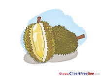 Durian free Cliparts for download