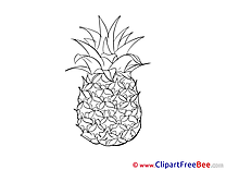 Exotic Fruit Ananas download Clip Art for free