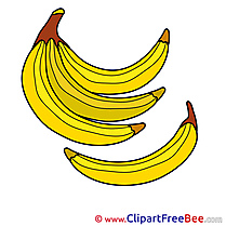 Illustration Bananas Pics free download Image