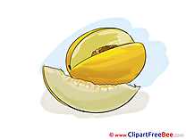 Melon download printable Illustrations