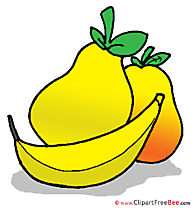 Picture Fruits Images download free Cliparts