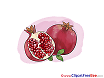 Pomegranate Cliparts printable for free