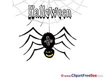 Black Widow Spider Cliparts Halloween for free