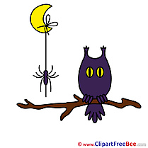 Branch Owl Spider free Illustration Halloween