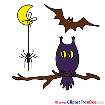 Branch Spider Bat Moon free Cliparts Halloween