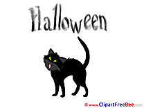 Cat Halloween Illustrations for free
