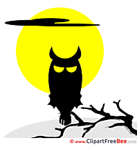 Moon Night Owl Clipart Halloween free Images