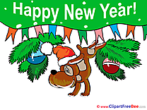 Dog New Year free Images download