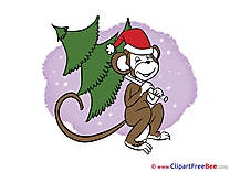 Fir Monkey Pics New Year free Cliparts