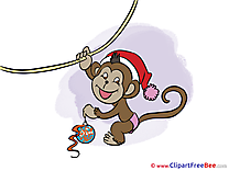 Hanging Monkey New Year Illustrations for free