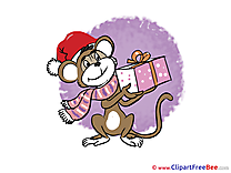Scarf Monkey Cliparts New Year for free