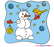 Snowflakes Snowman free Illustration New Year