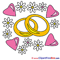 Rings Chamomiles Clip Art download Hearts