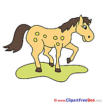 Beautiful Clipart Horse free Images