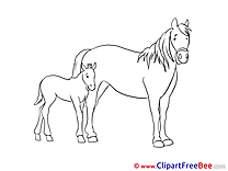 Foal Horse Clip Art for free