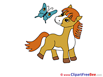 Little Pony Clipart Horse Illustrations