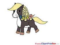 Little Pony Pics Horse Illustration