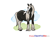 Pics Horse free Cliparts