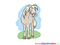 Smiling Horse Illustrations for free