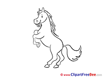 Stallion Horse download Illustration