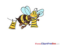Bee Clipart free Illustrations