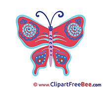 Butterfly Pics download Illustration