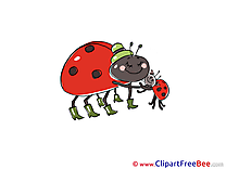 Family Ladybugs download Clip Art for free
